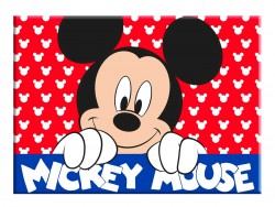 TOVAGLIETTA TOPOLINO D06604...