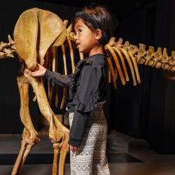 FELPA BAMBINA KOKO NOKO